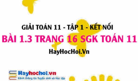 Giải bài 1.3 trang 16 Toán 11 tập 1 SGK Kết nối tri thức